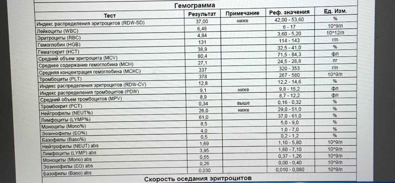 Цветовой показатель крови: норма, понижен или повышен у взрослого – эл клиника