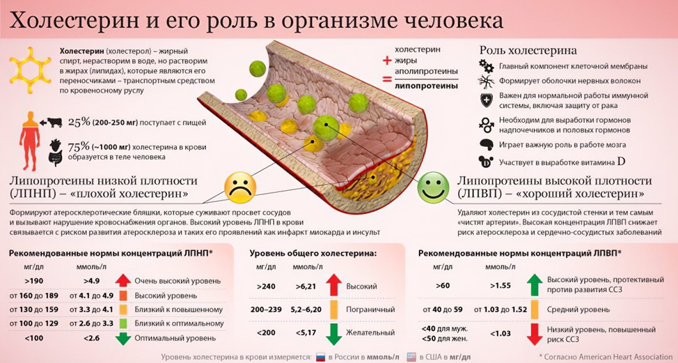 Витамин d: какую роль он играет в нашем организме? - статьи - клиника «c нуля» (здоровая семья)