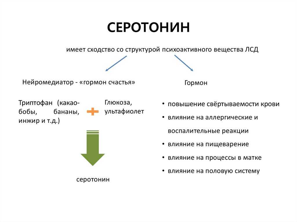 Гормоны счастья и формула любви. как почувствовать себя счастливым?