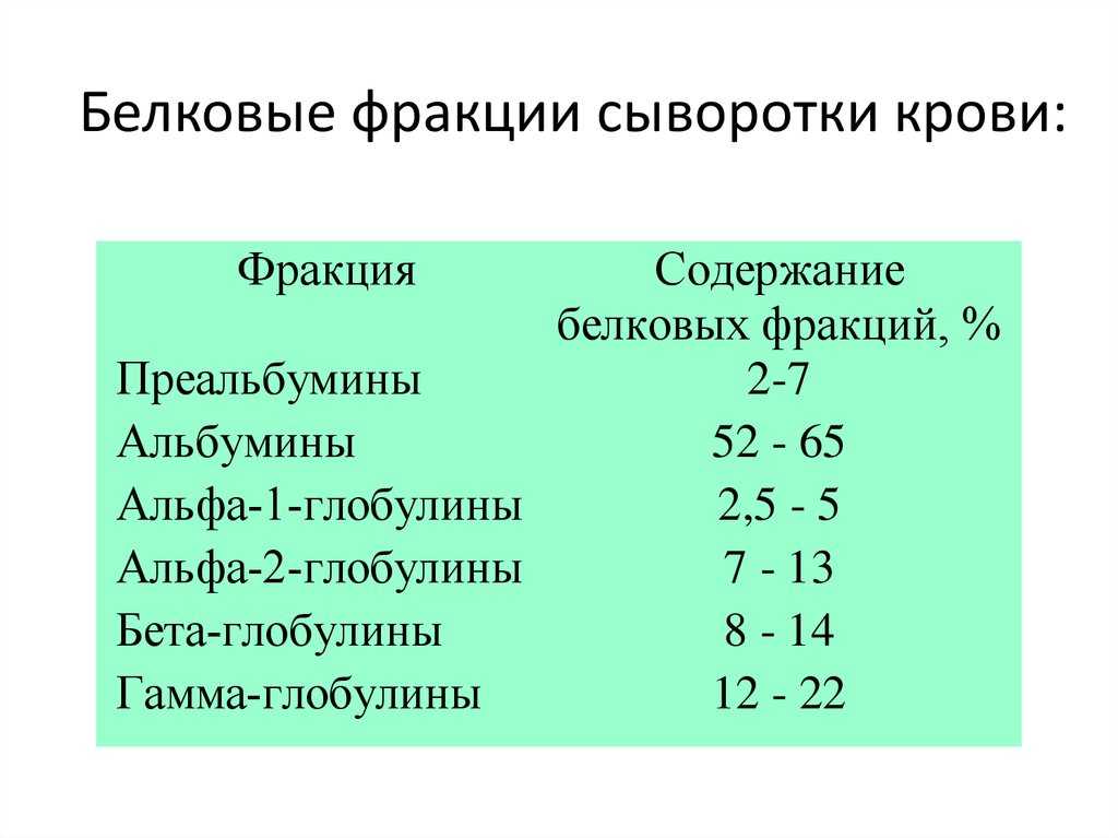 Анализ на белок в крови: норма у женщин и мужчин | medart