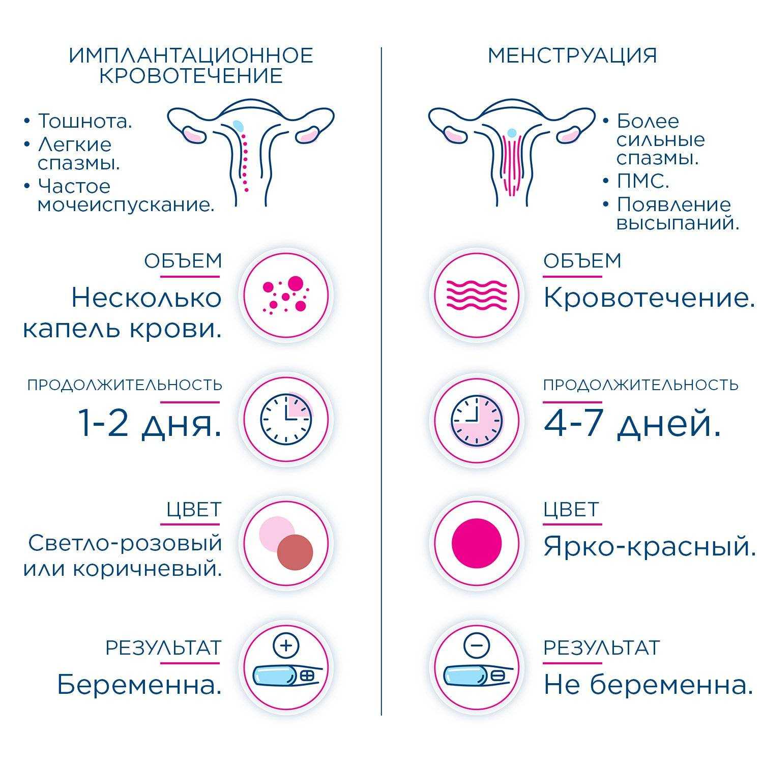 Как рассчитать менструальный цикл?