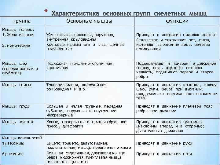 Мышцы таблица. Мышечная система основные группы мышц таблица. Характеристика основных групп скелетных мышц. Характеристика основных групп скелетных мышц таблица. Функции основных групп мышц.