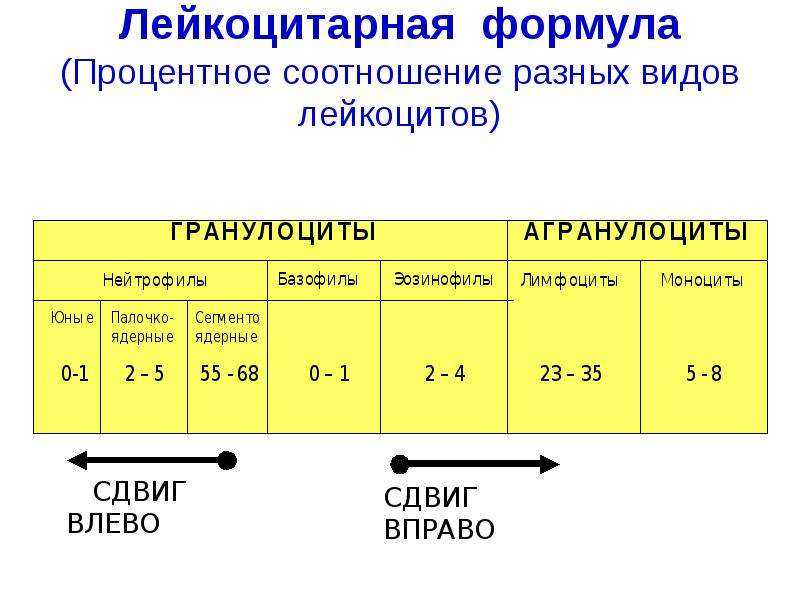 Лейкоцитарный анализ