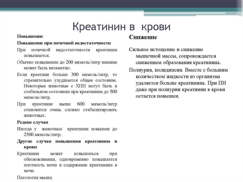 Креатинин, мочевина и цистатин с: нормы и отклонения при заболеваниях почек