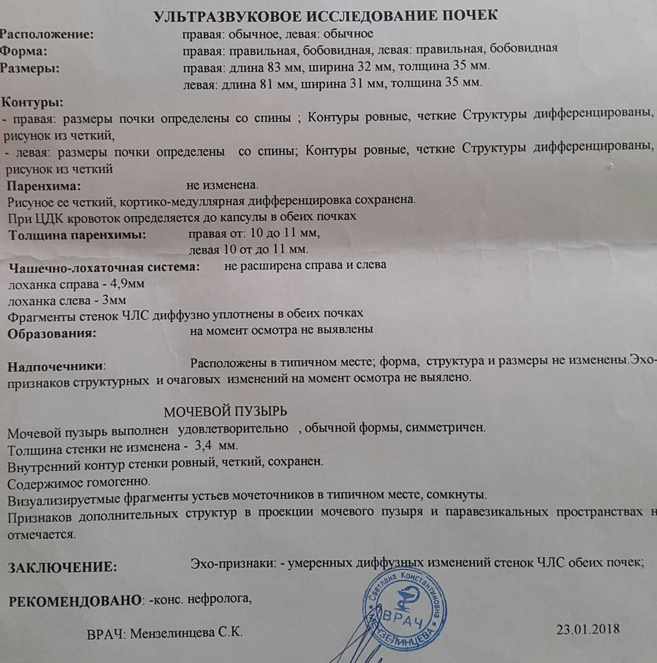 Узи почек и мочевого пузыря: показания, подготовка и технология проведения