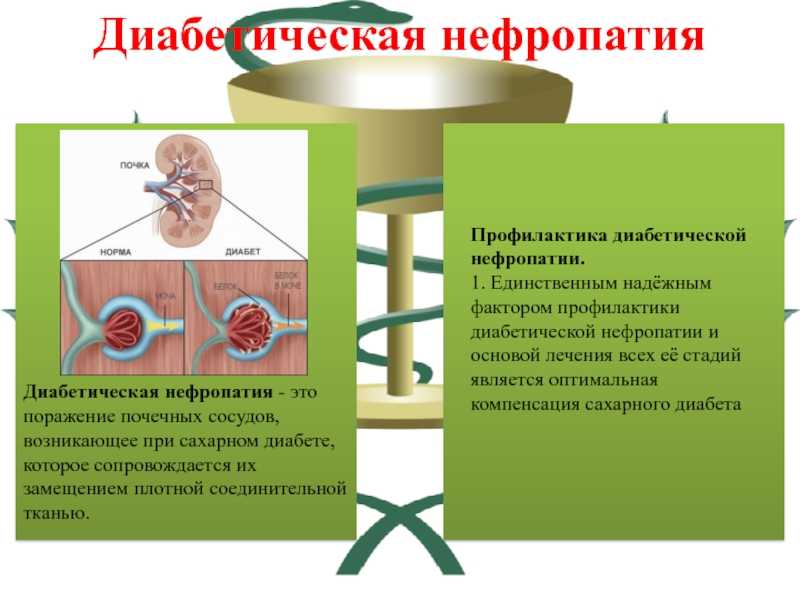 Международный эндокринологический журнал 1(1) 2005