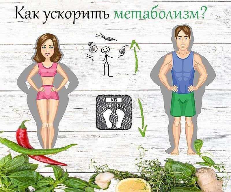 Как ускорить метаболизм: как разогнать обмен веществ для похудения - ускоряющие продукты, препараты и чай, "сбрось вес" от джиллиан майклс