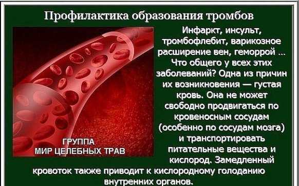 Анализ на свертываемость крови — коагулограмма