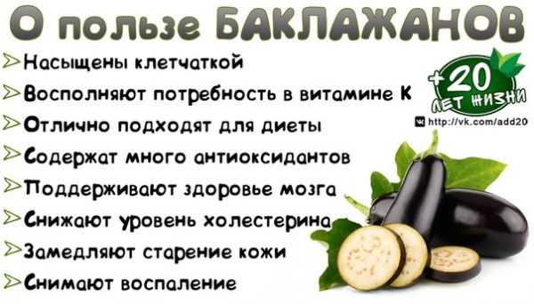 Баклажан: это ягода или овощ, польза и вред, калорийность, где и как растет, виды и состав