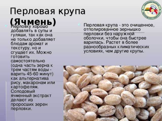 Как варить перловку на воде : рецепты с замачиванием и без