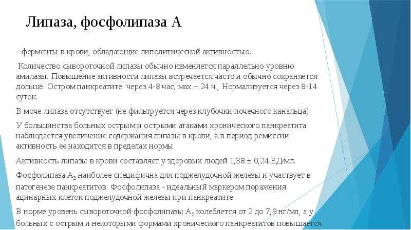 Повышенный и пониженный уровень липазы в крови