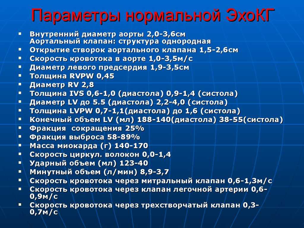 Эхокардиография (эхо-кг): подготовка, методика проведения | food and health