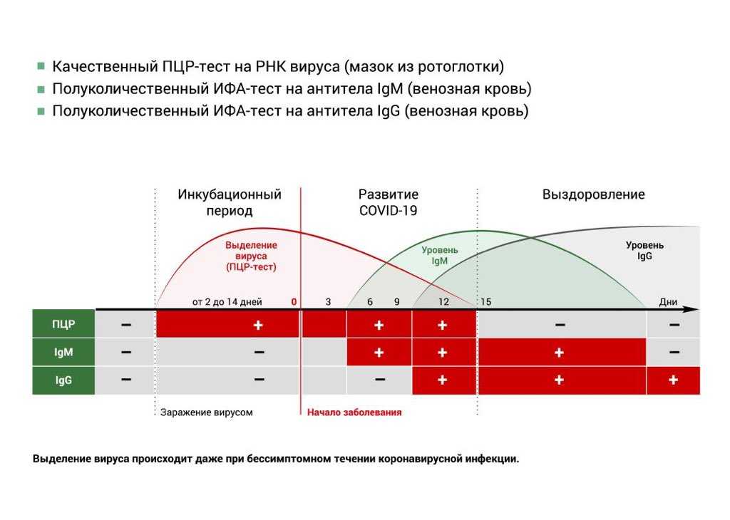 Экспресс-тест на covid-19 (ковид): принцип работы и пошаговая инструкция использования