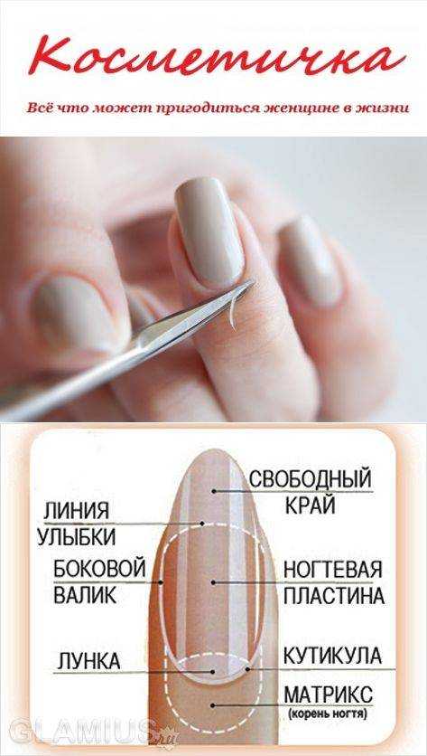 Почему быстро отрастает кутикула после маникюра и что делать, чтобы её удалить