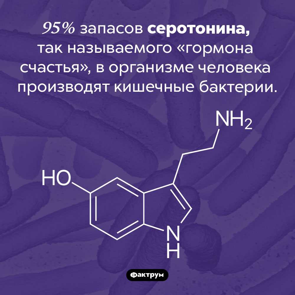 Гормоны счастья - слуцкий зцг и э