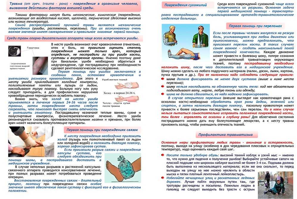 Профилактика детского травматизма «безопасность – залог здоровья» - государственное учреждение здравоохранения "детская областная больница"