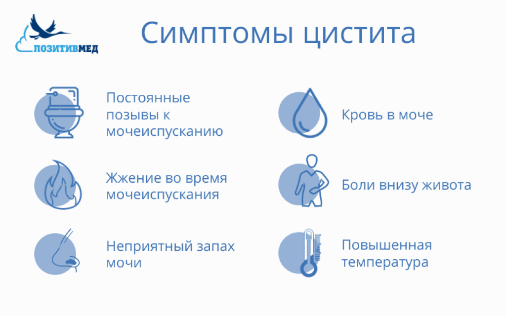 Цистит у женщин и мужчин: лечение и симптомы, признаки и причины | фнкц фмба