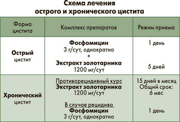Цистит у женщин и мужчин: лечение и симптомы, признаки и причины | фнкц фмба