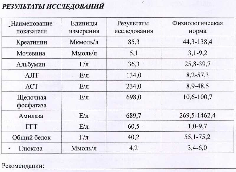 Креатинин норма у женщин по возрасту в таблице