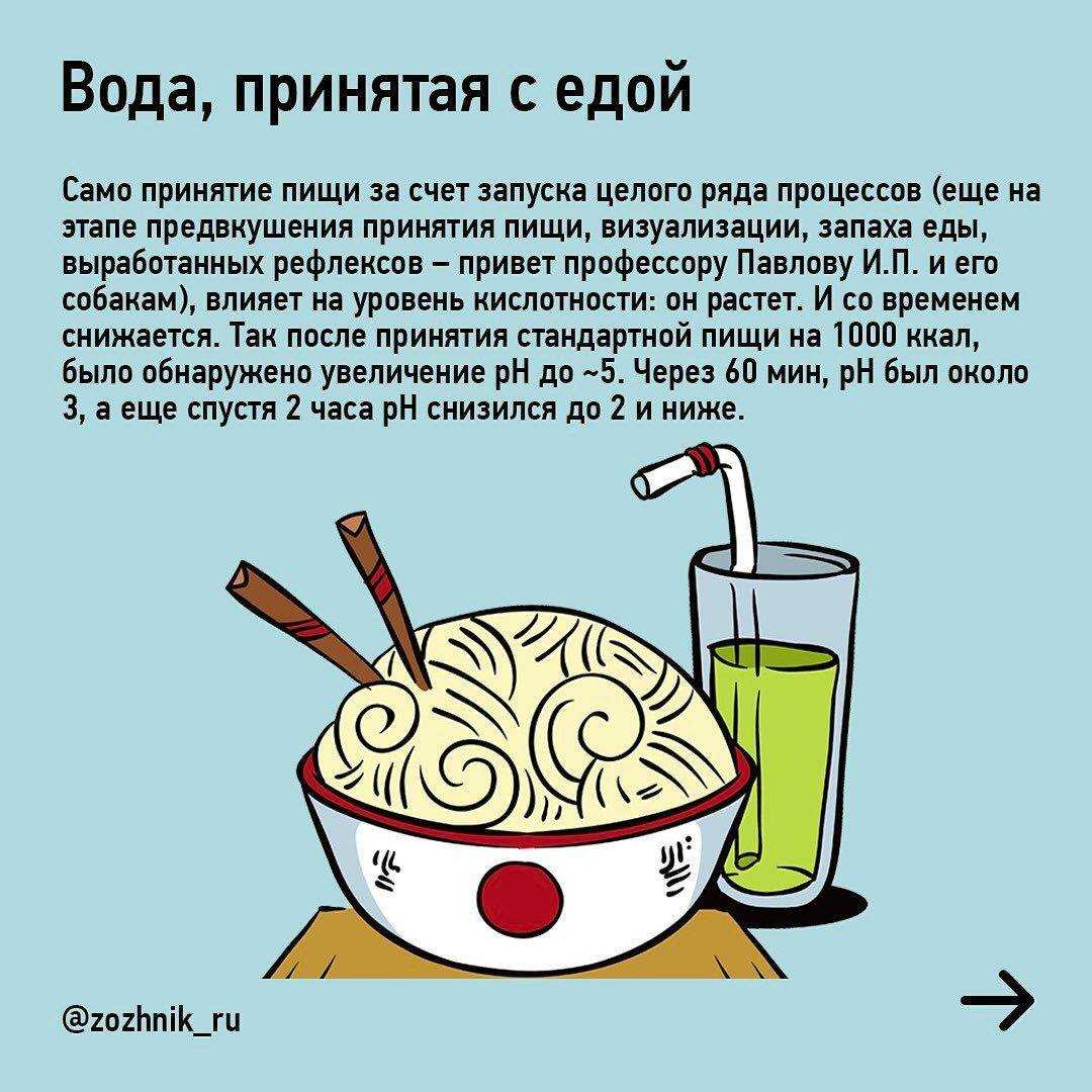 До еды нельзя, после – тоже: 5 глупых мифов о времени употребления фруктов | наука есть | дзен