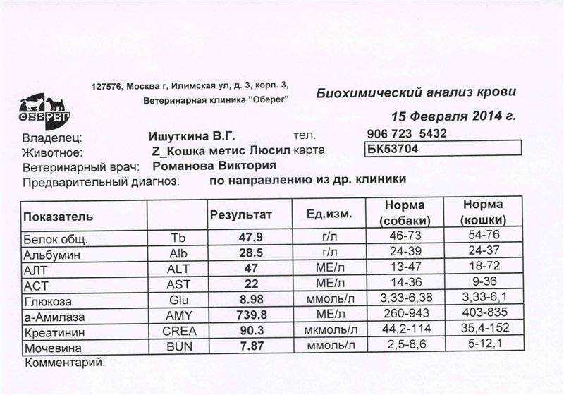 Показатели алт и аст в биохимии крови | университетская клиника