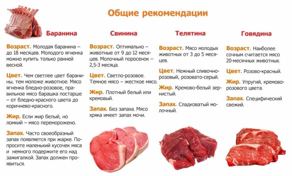 Свинина: польза и вред для организма | food and health