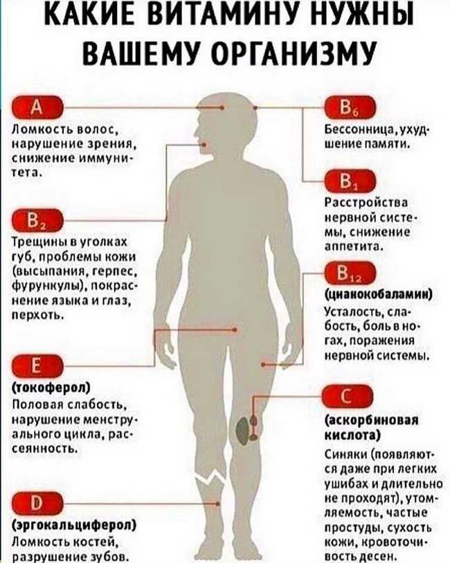Польза витаминов, где и в каких количествах содержатся