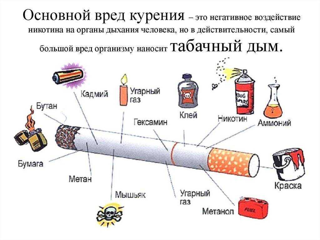 7 распространенных мифов о курении и раке | сеть клиник «евроонко» | дзен