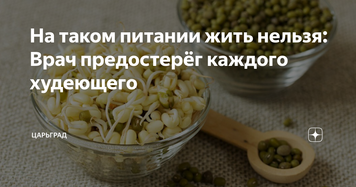 Как правильно есть дыню? - дом, сад, огород - короткие ответы на вопросы