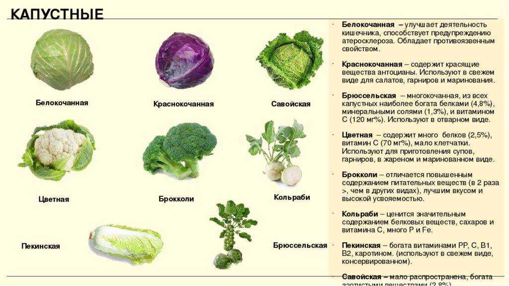 ➤ что есть при грудном вскармливании