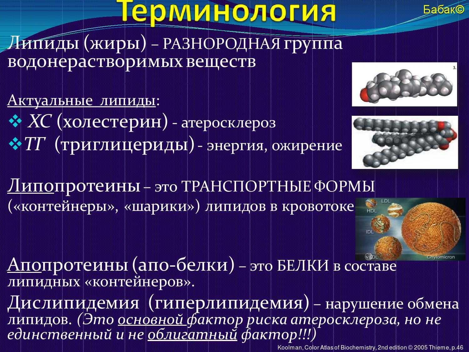 Холестерин, вредные жиры и метаболический синдром – от каких продуктов питания лучше отказаться