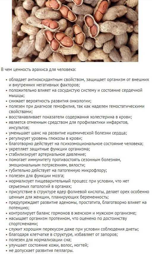 Фисташки: польза и вред для организма | food and health