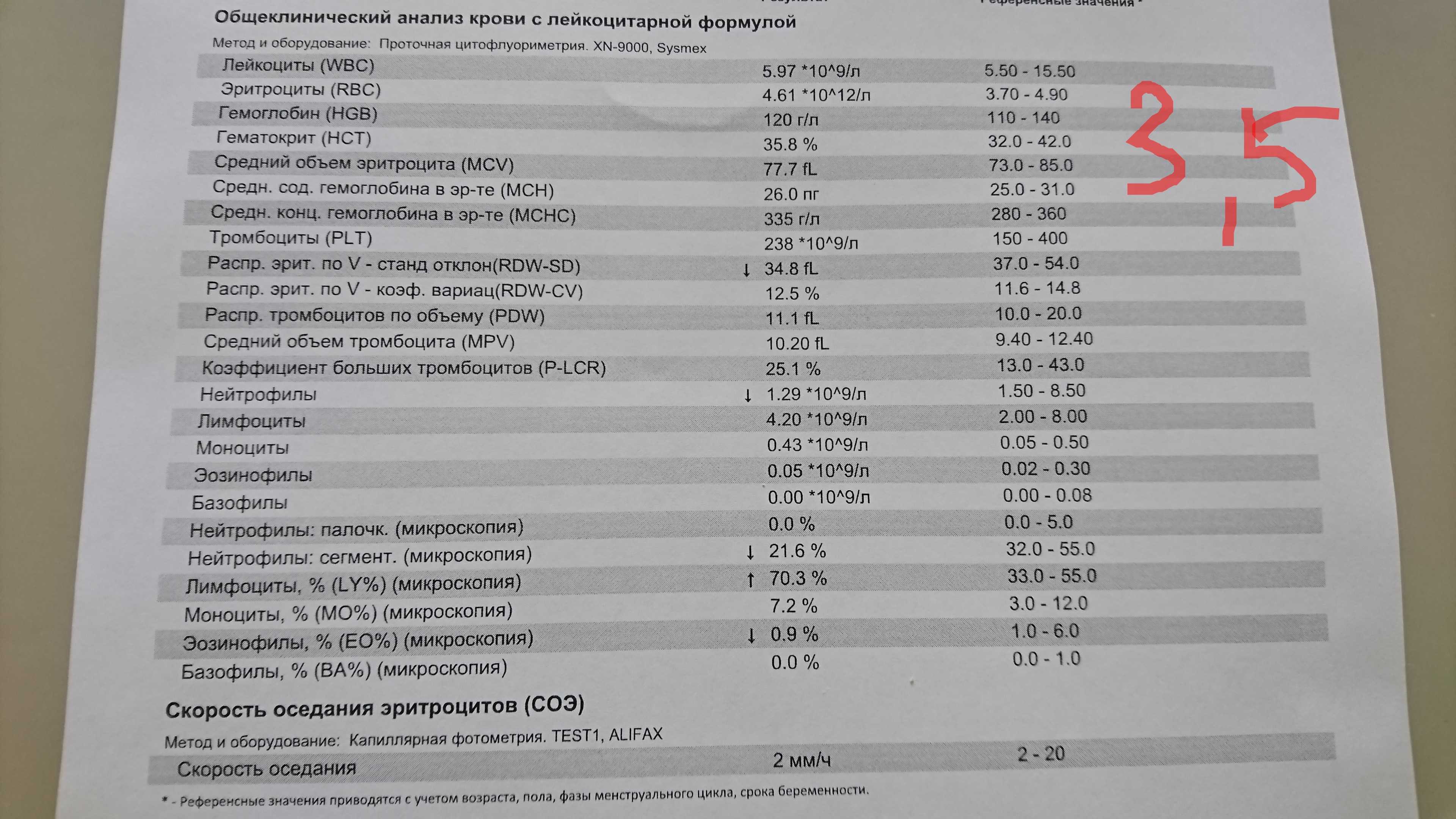 Что такое лимфоциты, за что они отвечают и какова их норма у взрослых мужчин и женщин, у детей?