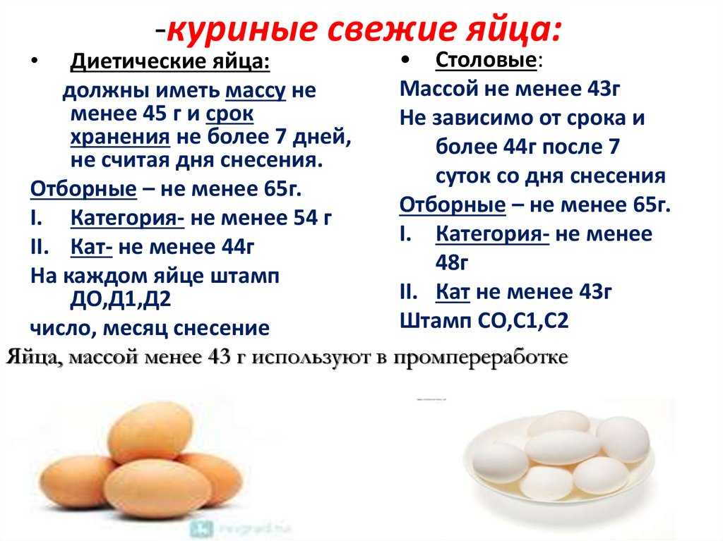 Сколько весят куриные яйца, и что влияет на их вес?