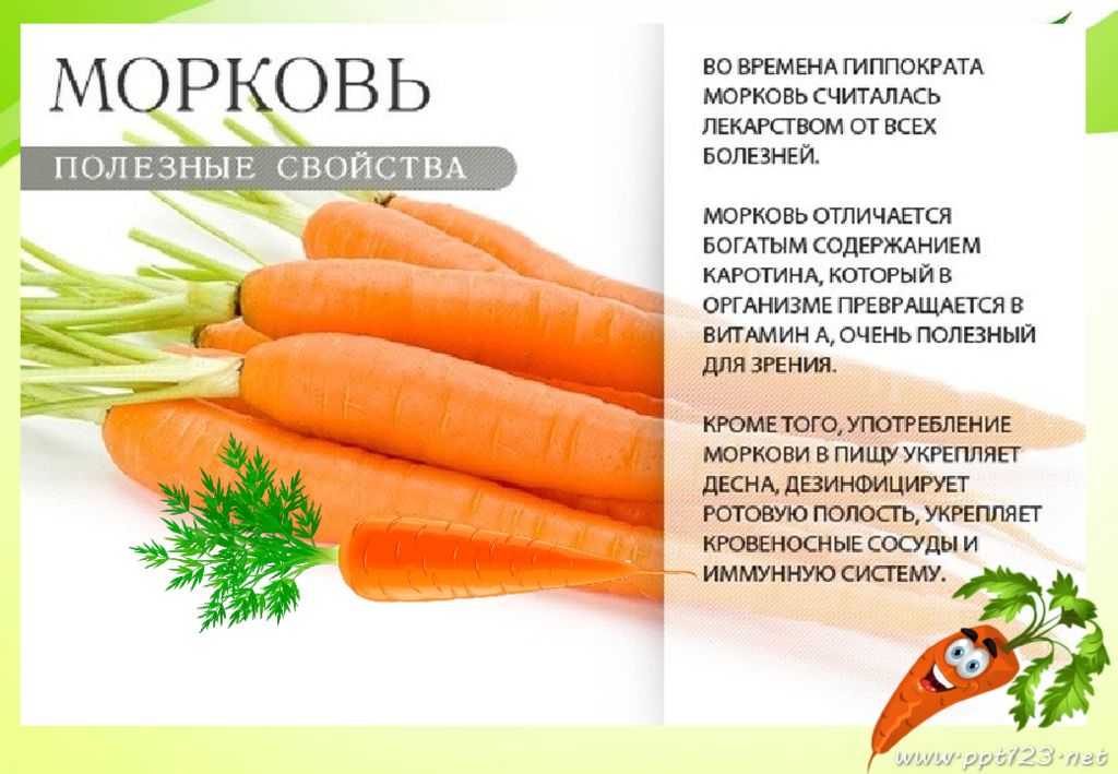 ✅ полезна ли корейская морковь