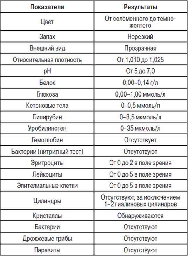 Общий анализ мочи - результаты, стандарты, расшифровка, причины отклонений | университетская клиника