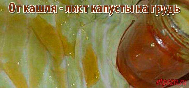 Капустный лист с медом от кашля ребенку или взрослому: как сделать компресс, сок, отвар