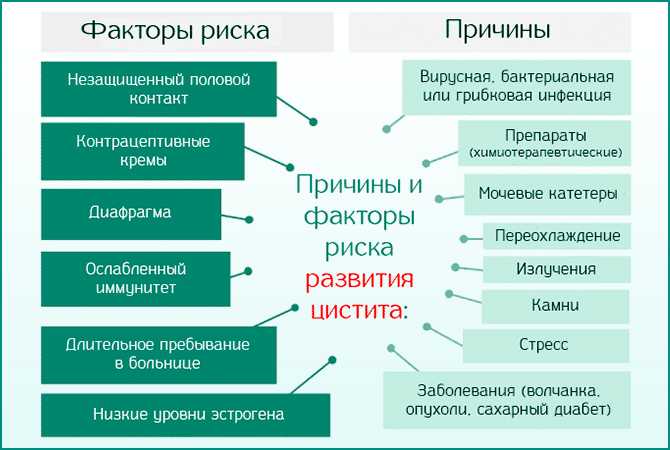 Лечение острого и хронического цистита у женщин - причины, симптомы и лечение