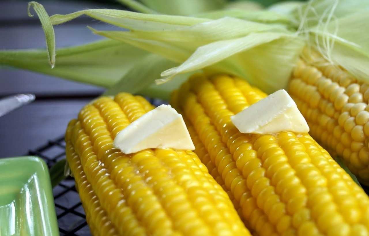 Кукуруза при похудении