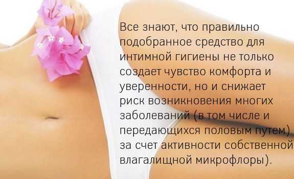Первостольник в деликатном режиме