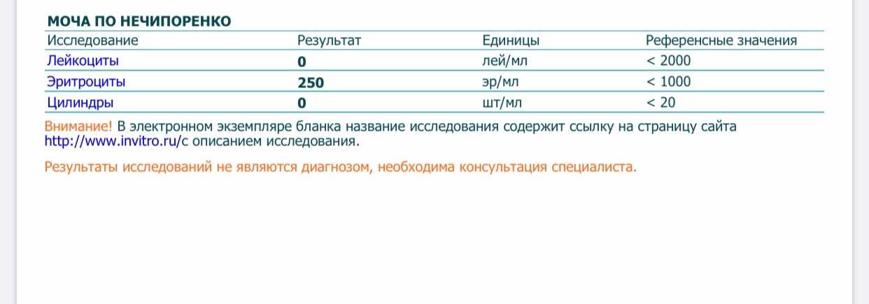 Как понять результаты анализа мочи?
