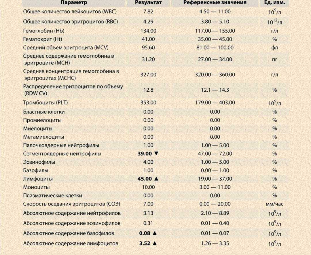 Повышено содержание лимфоцитов в крови у ребенка: о чем это говорит и что делать?