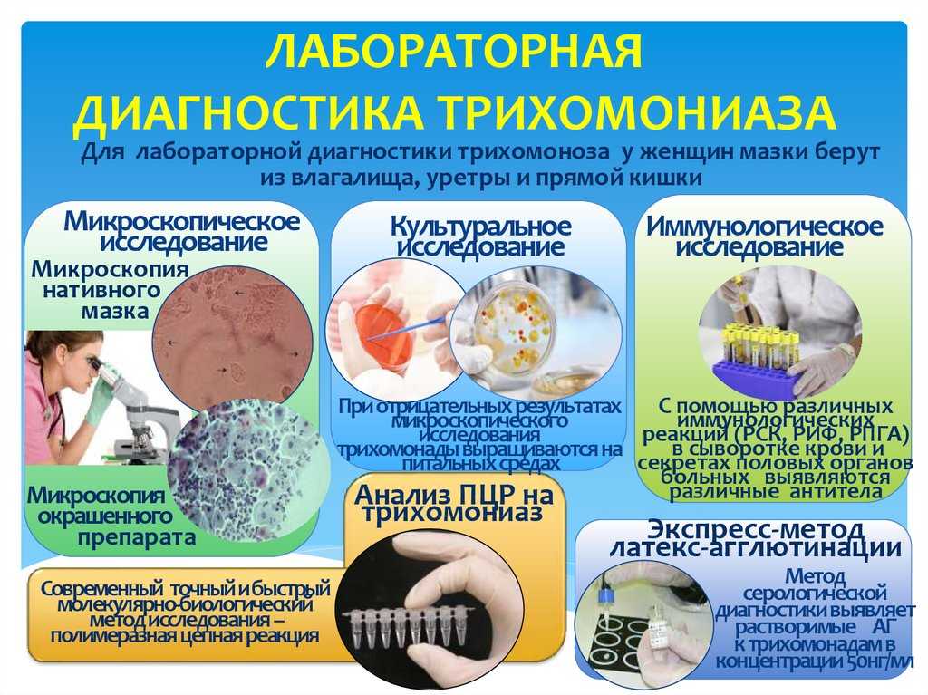 Лечение трихомонады у женщин препараты схема лечения в гинекологии