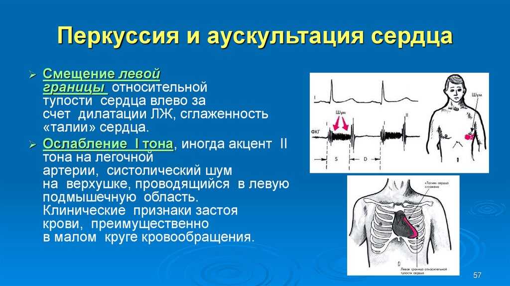 Аускультация лёгких — кгбуз "норильская мдб"