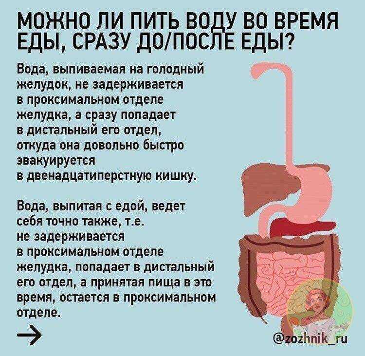 Современные принципы питания при диабете 1 и 2 типа - можно есть все? | университетская клиника