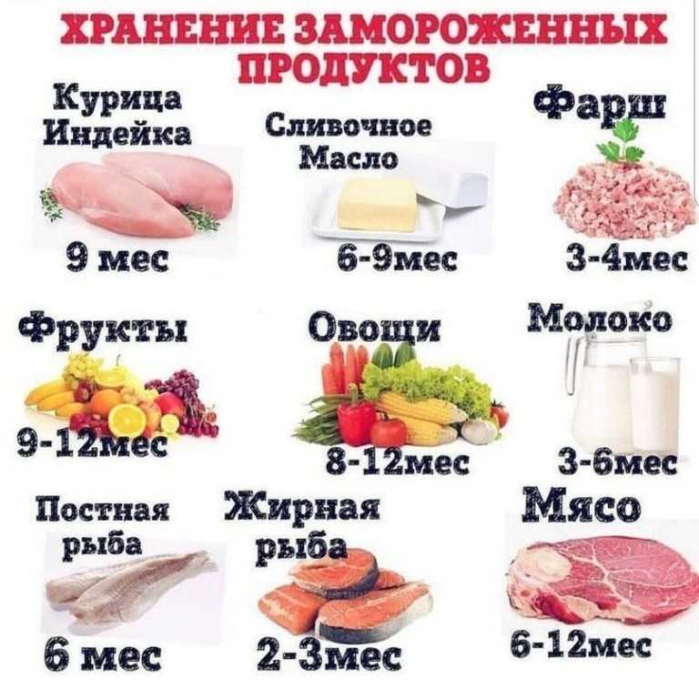 Сколько хранится курица охлажденная: правила заморозки филе в морозилке