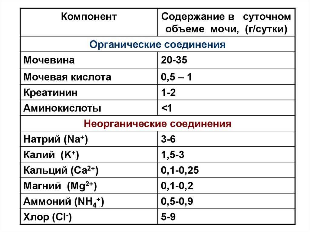 Повышена мочевая кислота и креатинин. Креатинин нормальные показатели в крови. Биохимия мочи показатели нормы. Нормальное содержание натрия в моче. Биохимия крови почечные показатели крови.