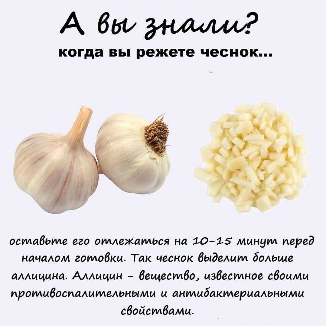 Польза и вред чеснока для здоровья — 10 фактов о его влиянии на организм человека