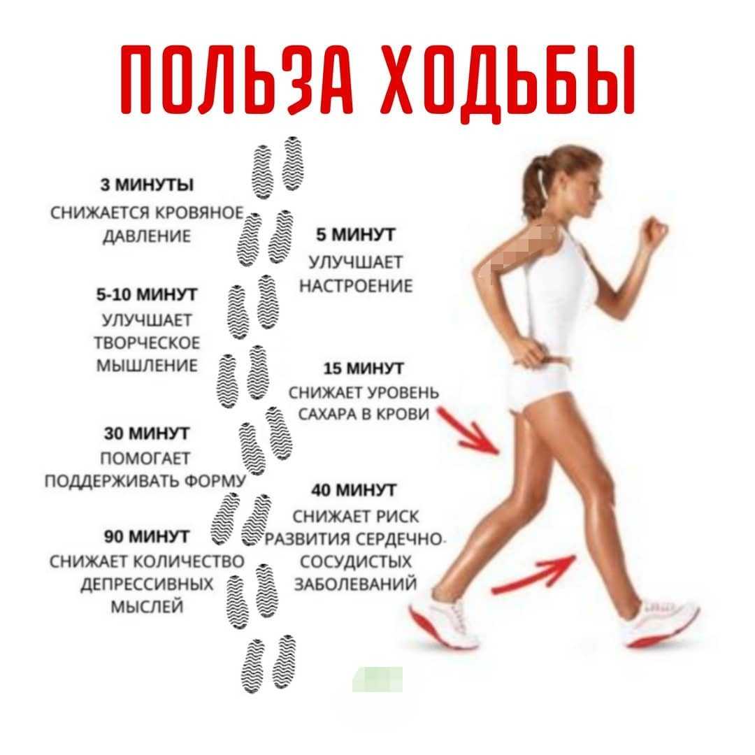 Ходьба пешком: виды, польза, расход калорий - "марафонец"