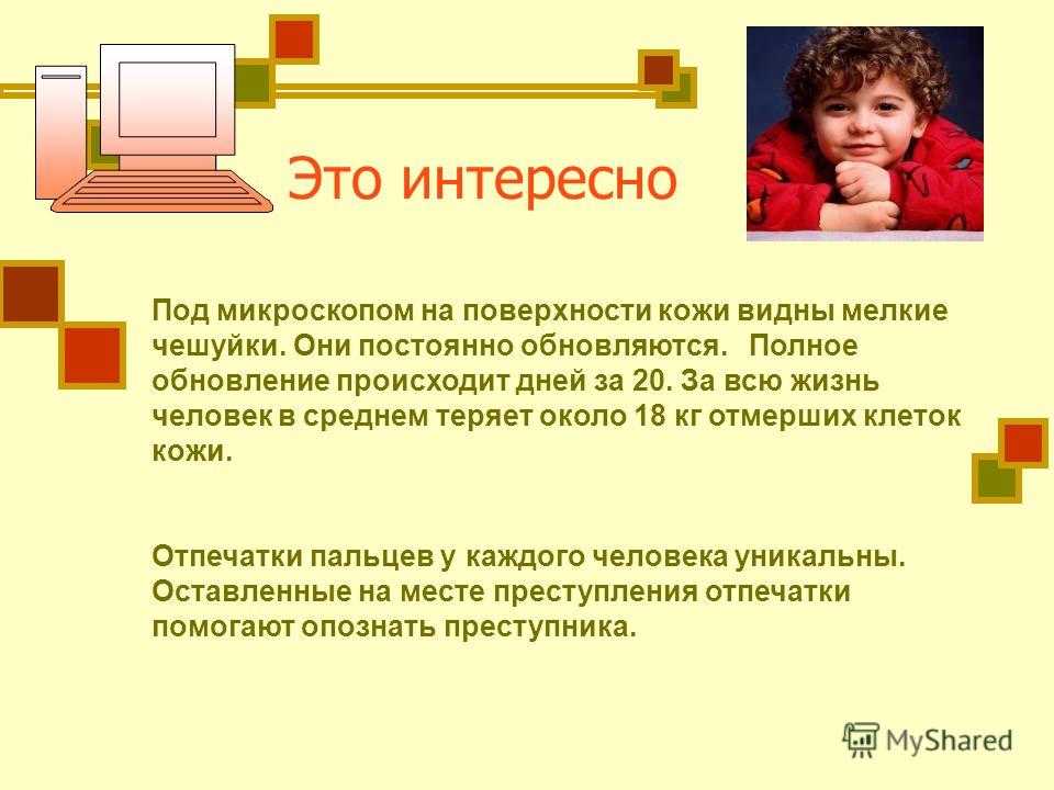 50 занимательных фактов о глазах